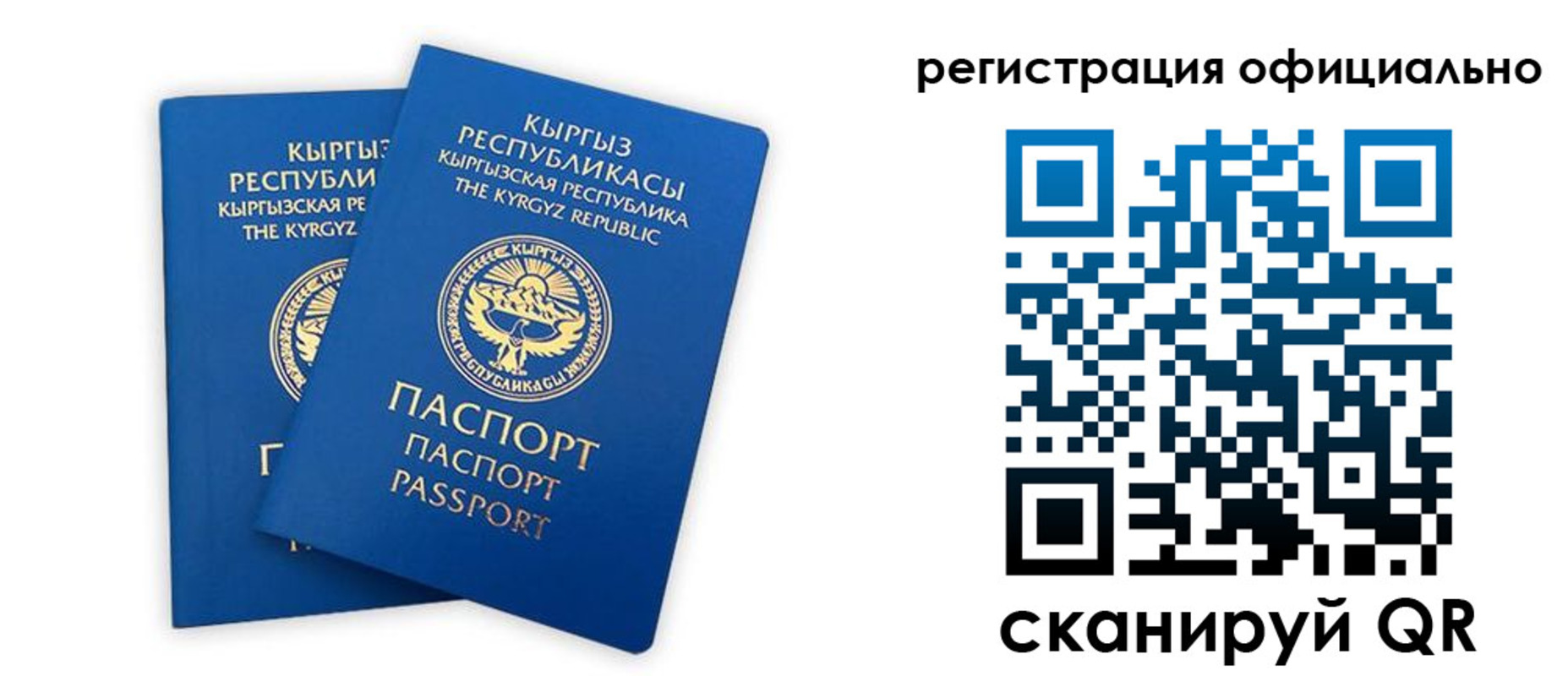 прописка поиск в Лесном